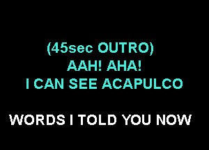 (455ec OUTRO)
AAH! AHA!
I CAN SEE ACAPULCO

WORDS I TOLD YOU NOW