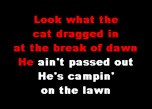 Look what the
cat dragged in
at the break of dawn
He ain't passed out
He's campin'
on the lawn