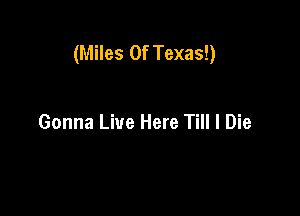 (Miles Of Texas!)

Gonna Live Here Till I Die