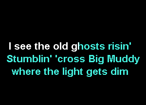 I see the old ghosts risin'

Stumblin' 'cross Big Muddy
where the light gets dim