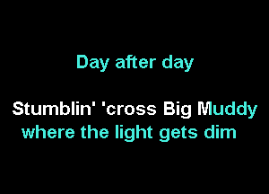 Day after day

Stumblin' 'cross Big Muddy
where the light gets dim