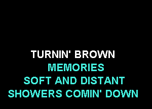 TURNIN' BROWN

MEMORIES
SOFT AND DISTANT
SHOWERS COMIN' DOWN