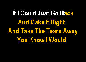 If I Could Just Go Back
And Make It Right
And Take The Tears Away

You Know I Would