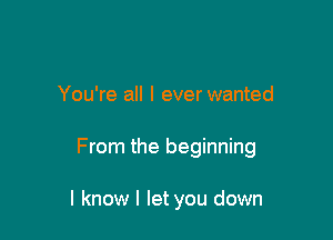 You're all I everwanted

From the beginning

I know I let you down