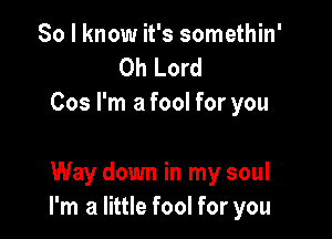 So I know it's somethin'
Oh Lord
Cos I'm a fool for you

Way down in my soul
I'm a little fool for you