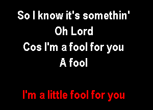 So I know it's somethin'
Oh Lord
Cos I'm a fool for you
A fool

I'm a little fool for you