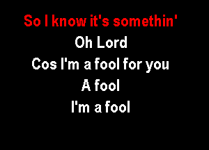 So I know it's somethin'
Oh Lord
Cos I'm a fool for you

A fool
I'm a fool