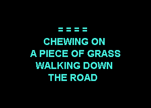 CHEWING ON
A PIECE OF GRASS

WALKING DOWN
THE ROAD