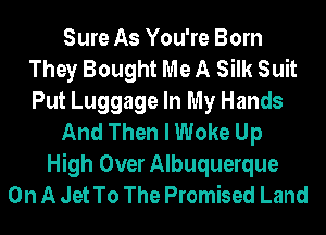 Sure As You're Born
They Bought Me A Silk Suit
Put Luggage In My Hands
And Then I Woke Up
High Over Albuquerque
On A Jet To The Promised Land