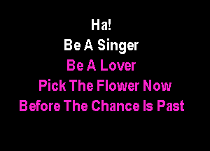 Ha!
Be A Singer
Be A Lover

Pick The Flower Now
Before The Chance ls Past
