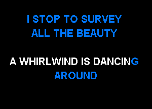 I STOP TO SURVEY
ALL THE BEAUTY

A WHIRLWIND IS DANCING
AROUND