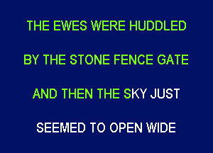 THE EWES WERE HUDDLED

BY THE STONE FENCE GATE

AND THEN THE SKY JUST

SEEMED TO OPEN WIDE