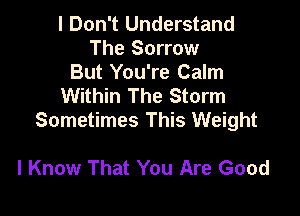 I Don't Understand
The Sorrow

But You're Calm
Within The Storm

Sometimes This Weight

I Know That You Are Good