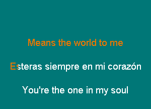 Means the world to me

Esteras siempre en mi corazc'm

You're the one in my soul