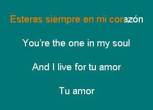 Esteras siempre en mi corazc'an

You re the one in my soul

And I live fortu amor

Tu amor