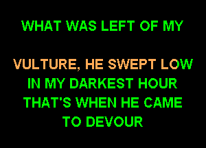 WHAT WAS LEFT OF MY

VULTURE, HE SWEPT LOW
IN MY DARKEST HOUR
THAT'S WHEN HE CAME
TO DEVOUR