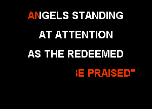ANGELS STANDING
AT ATTENTION
iY

THE LAMB BE PRAISED