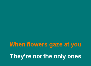 When flowers gaze at you

They're not the only ones