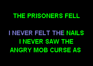 THE PRISONERS FELL

I NEVER FELT THE NAILS
I NEVER SAW THE
ANGRY MOB CURSE AS