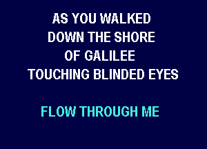 AS YOU WALKED
DOWN THE SHORE
0F GALILEE
TOUCHING BLINDED EYES

FLOW THROUGH ME