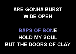 ARE GONNA BURST
WIDE OPEN

BARS OF BONE
HOLD MY SOUL
BUT THE DOORS OF CLAY