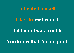 I cheated myself
Like I knew I would

ltold you I was trouble

You know that I'm no good