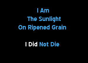 I Am
The Sunlight
0n Ripened Grain

I Did Not Die
