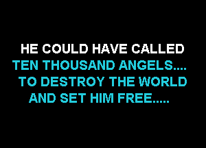 HE COULD HAVE CALLED

TEN THOUSAND ANGELS...

T0 DESTROY THE WORLD
AND SET HIM FREE .....