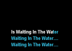 Is Waiting In The Water
Waiting In The Water....
Waiting In The Water....