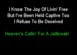 I Know The Joy Of Livin' Free
But I've Been Held Captive Too
I Refuse To Be Deceived

Heaven's Callin' For A Jailbreak!