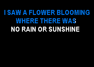 I SAW A FLOWER BLOOMING
WHERE THERE WAS
N0 RAIN 0R SUNSHINE
