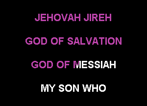 JEHOVAH JIREH

GOD OF SALVATION

GOD OF MESSIAH

MY SON WHO