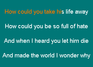 How could you take his life away
How could you be so full of hate
And when I heard you let him die

And made the world I wonder why