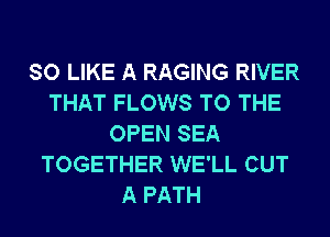 SO LIKE A RAGING RIVER
THAT FLOWS TO THE
OPEN SEA
TOGETHER WE'LL CUT
A PATH