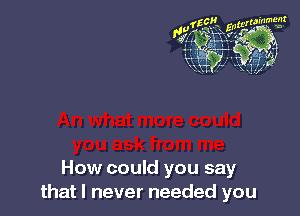 How could you say
that I never needed you