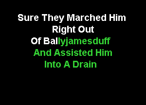 Sure They Marched Him
Right Out
Of Ballyjamesduff

And Assisted Him
Into A Drain