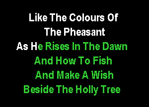 Like The Colours Of
The Pheasant
As He Rises In The Dawn

And How To Fish
And Make A Wish
Beside The Holly Tree