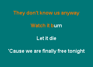 They don't know us anyway
Watch it burn

Let it die

'Cause we are finally free tonight