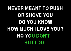 NEVER MEANT T0 PUSH
0R SHOVE YOU
DO YOU KNOW

HOW MUCH I LOVE YOU?
N0 YOU DON'T
BUT I DO