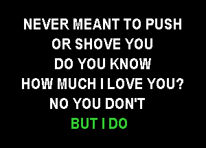 NEVER MEANT T0 PUSH
0R SHOVE YOU
DO YOU KNOW

HOW MUCH I LOVE YOU?
N0 YOU DON'T
BUT I DO