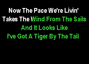 Now The Pace We're Livin'
Takes The Wind From The Sails
And It Looks Like

I've Got A Tiger By The Tail