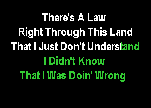 There's A Law
Right Through This Land
That I Just Don't Understand

I Didn't Know
That I Was Doin' Wrong