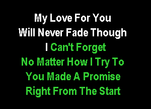 My Love For You
Will Never Fade Though
I Can't Forget

No Matter How I Try To
You Made A Promise
Right From The Start