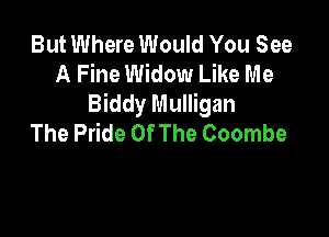 But Where Would You See
A Fine Widow Like Me
Biddy Mulligan

The Pride Of The Coombe