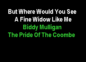 But Where Would You See
A Fine Widow Like Me
Biddy Mulligan

The Pride Of The Coombe