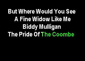 But Where Would You See
A Fine Widow Like Me
Biddy Mulligan

The Pride Of The Coombe