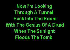 Now I'm Looking
Through A Tunnel
Back Into The Room

With The Genius Of A Druid

When The Sunlight
Floods The Tomb