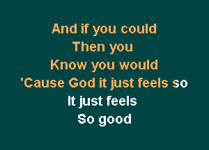 And if you could
Then you
Know you would

'Cause God it just feels so
It just feels
So good