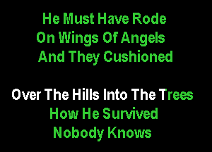 He Must Have Rode
0n Wings Of Angels
And They Cushioned

Over The Hills Into The Trees
How He Sunlived
Nobody Knows