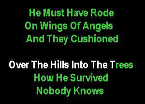 He Must Have Rode
0n Wings Of Angels
And They Cushioned

Over The Hills Into The Trees
How He Sunlived
Nobody Knows